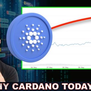 CRYPTO MARKET RELIEF. CARDANO PUMPS HARD. WHY?