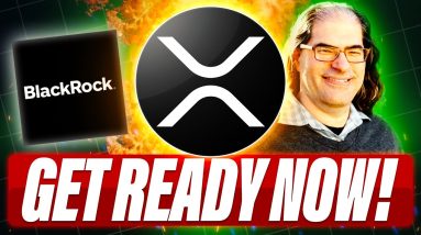 XRP ETFS WILL GO LIVE NEXT - WE DON'T OWN THE RAILS WE OWN THE TRAIN - CTO TIMEFRAME FOR ADOPTION