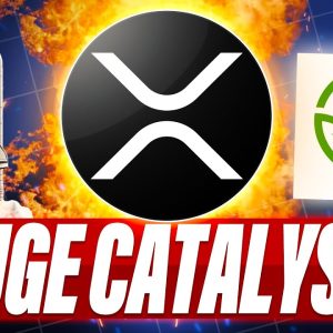 TEUCRIUM REVEALS BIGGEST CATALYST FOR XRP - WOLF OF ALL STREETS SAID XRP IS NOT A SCAM