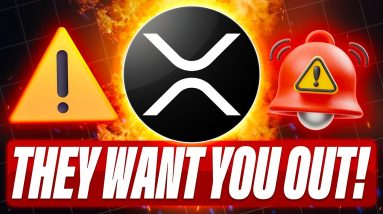 PAWN SHOP ON THE XRPL - XRP GREATEST WEALTH TRANSFER EXPLAINED - THEY WANT YOU OUT BEFORE THE PUMP