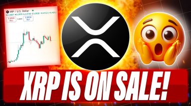 CRYPTO BLOODBATH & XRP IS ON SALE - PATRICK BET DAVID PREDICTS $1000 XRP - BTC MAXI'S ARE DELUSIONAL