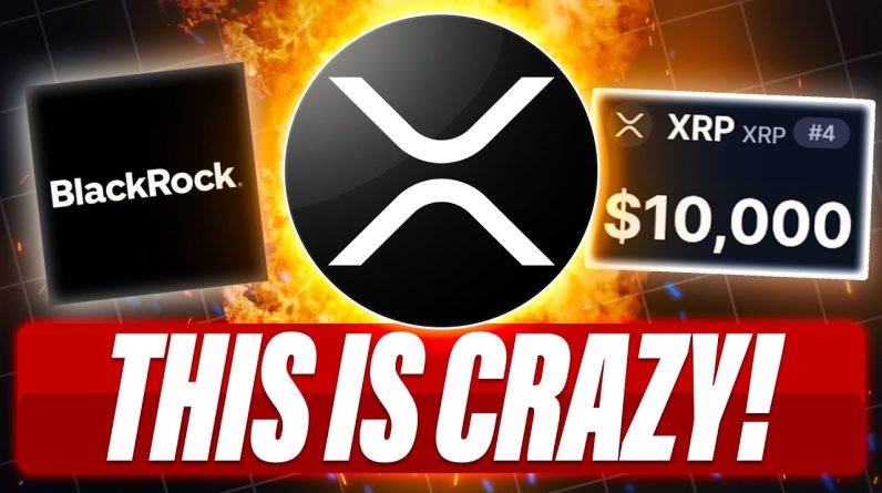 COMPANIES ARE GETTING INTO XRP - BLACKROCK SAYS NO XRP ETF IN 2025 - XRP GRAND WAVE $10,000 TIMELINE