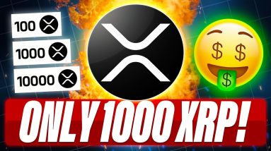 BLOW OFF TOP OR UTILITY RUN - WHAT WILL 1000 XRP BE WORTH IN THIS RUN - EUPHORIC TIMES ARE CLOSE!