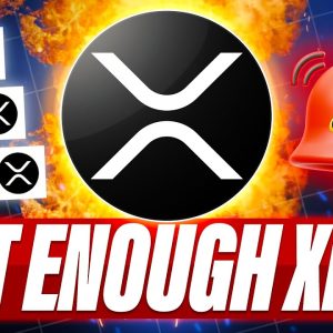 XRP PRICE RISES WILL IT LAST - ROAD TO XRP SCARCITY ALREADY STARTED - THE CYCLE IS SO UNPREDICTABLE