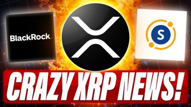 HOW LOW WILL XRP PRICE GO - RIPPLE SECURITIZE & BLACKROCK NEWS - THEY WANT CHEAP XRP BEFORE THE PUMP