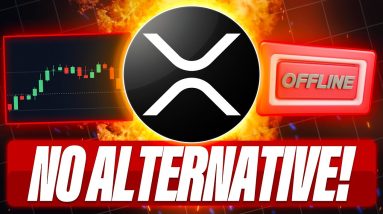 XRPL & XRP WORK OFFLINE - GOVT RE-OPENING MAY BE BULLISH FOR CRYPTO - THERE IS NO XRP ALTERNATIVE