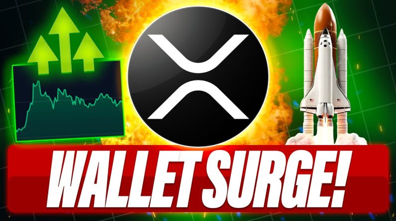 WALLETS WITH 10,000 XRP SURGE - ANOTHER $18,000+ XRP PREDICTION - GUY LOSES $3,000,000 WORTH OF XRP