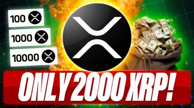 DON'T SELL XRP UNDER $10 - 2000 XRP MAKE YOU A MILLIONAIRE IN 2025? - AT $4.00 THE XRP FOMO BEGINS