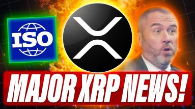 WHAT A DECENT ISO 20022 PORTFOLIO LOOKS LIKE - MICROPAYMENTS ARE KEY TO MASS ADOPTION - XRP NEWS