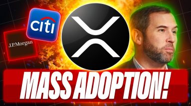 XRP IS THE BTC REPLACEMENT - MASS INSTITUTIONAL ADOPTION IN 6 - 18 MONTHS - FLARE XRPFI DIARIES