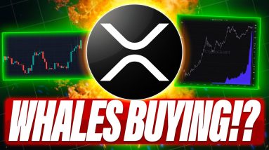 WHALES ARE LOADING UP ON XRP - SOL PRICE VS XRP PRICE - 20 XRP ETFs ARE COMING BUT WHEN?