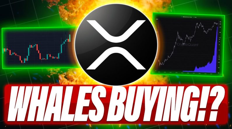 WHALES ARE LOADING UP ON XRP - SOL PRICE VS XRP PRICE - 20 XRP ETFs ARE COMING BUT WHEN?