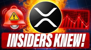 XRP CRASHES & THE EXCHANGES GO DOWN - DO YOU NEED THE EXCHANGES? - INSIDERS KNEW ABOUT THE CRASH