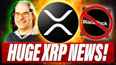XRP DOESN'T NEED BLACKROCK - DAVID SCHWARTZ SAYS ADOPTION IS MONTHS AWAY - RIPPLE EXPANDS IN AFRICA