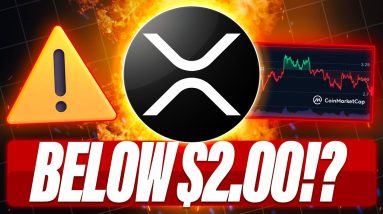 XRP PRICE TURNS RED - XRP MAY GO BELOW $2.00 - XRP HAS NO CEO - WHAT IF THE U.S. DOESN'T GET CLARITY