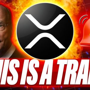 BLACKROCK TOKENIZATION IS A TRAP - XRP HOLDERS YOU NEED AN LLC - WILL 4 YEAR CYCLE END UNDER TRUMP?