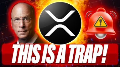 BLACKROCK TOKENIZATION IS A TRAP - XRP HOLDERS YOU NEED AN LLC - WILL 4 YEAR CYCLE END UNDER TRUMP?