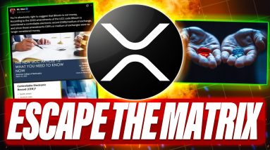 BUY XRP & ESCAPE THE MATRIX - BTC IS NOT MONEY - TOKENIZED GOLD REALITY - BANKERS HATE STABLE COINS