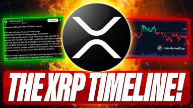 IS THE XRP BOTTOM IN - DO WHAT DAVE PORTNOY DID ON A RED DAY - XRP ADOPTION TIMELINE