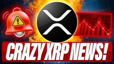 XRP HOLDERS EXPECT 24 HOURS OF VOLATILITY - WILL XRP DECOUPLE FROM BTC - XRP NEWS