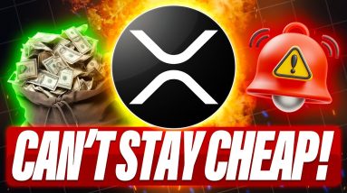 OWN XRP & BE YOUR OWN BANK - WHY XRP CAN'T STAY CHEAP & MORE XRP NEWS