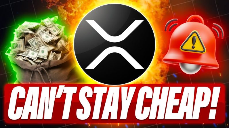 OWN XRP & BE YOUR OWN BANK - WHY XRP CAN'T STAY CHEAP & MORE XRP NEWS