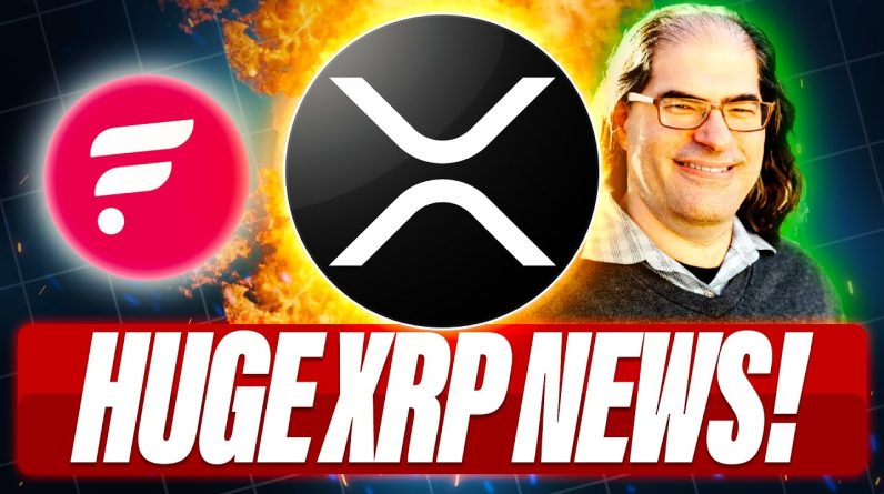 FLARE CEO ON SOL VS XRP - DAVID SCHWARTZ SAYS YOU WILL BE YOUR OWN BANK - HOW RIPPLE MAKES MONEY