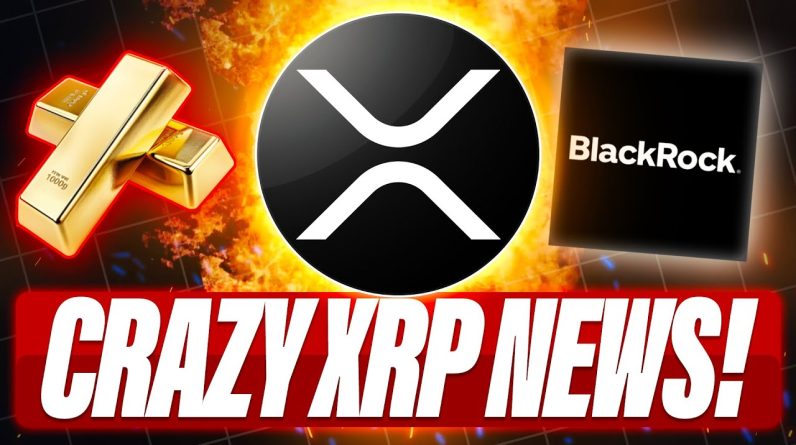 XRP IS DIGITAL GOLD FOR BANKS - BLACKROCK + RIPPLE = NDA - STABLECOINS WON'T ELIMINATE XRP