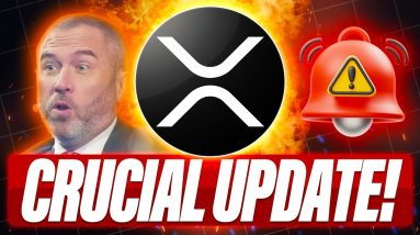 BRAD GARLINGHOUSE EXPLAINS RLUSD VS XRP - XRP HOLDERS SHOULD WE FEAR QUANTUM COMPUTERS?