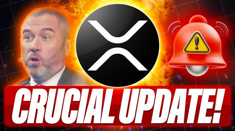 BRAD GARLINGHOUSE EXPLAINS RLUSD VS XRP - XRP HOLDERS SHOULD WE FEAR QUANTUM COMPUTERS?