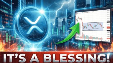 XRP AT LOW PRICES IS A BLESSING - DAVID SCHWARTZ 2017 SIGNAL RETURNS - DO WHAT DAVE PORTNOY DOES!