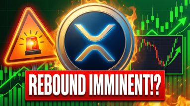 XRP REBOUND IS IMMINENT - WHY DID THE MARKET DUMP? - ETF INFLOWS CONTINUE - BRAD WILL SPEAK TODAY!