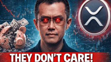 THEY DON'T CARE IF YOU GET RICH - CZ SAYS THE CURRENT SYSTEM IS BROKEN - DAVID SCHWARTZ XRP VS BTC