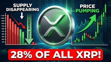 28% OF ALL THE XRP IS IN WHALE HANDS - I'M ALWAYS OPTIMISTIC HERE'S WHY - MARKET STRUCTURE SOON?