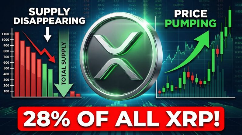 28% OF ALL THE XRP IS IN WHALE HANDS - I'M ALWAYS OPTIMISTIC HERE'S WHY - MARKET STRUCTURE SOON?