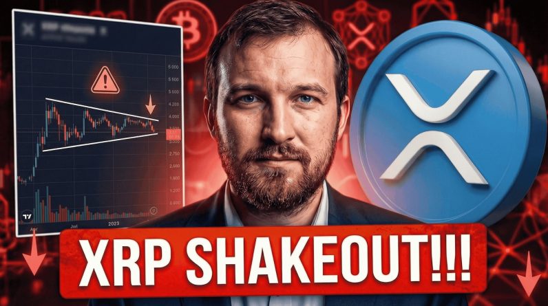 EXPECT XRP PULLBACKS & SHAKEOUTS ON THE WAY UP - WARNING GET YOUR XRP OFF EXCHANGES - XRP NEWS