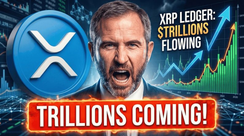 RIPPLE PUT THEIR EGGS INTO ONE BASKET = XRP - TRILLIONS ARE COMING TO THE XRPL - BTC FORK IS COMING
