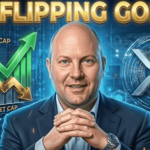 XRP DOESN'T NEED CLARITY BUT INSTITUTIONS DO - RIPPLENET IS NOT THE XRPL - XRP FLIP GOLD MC?