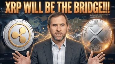 XRP WILL BRIDGE RLUSD - RLUSD & CBDC FACTS YOU NEED TO KNOW - RLUSD WORKS LIKE A CBDC - C02 TRACKER?