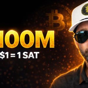 $100M Bitcoin INEVITABLE - Dollar-Sat Parity Is Endgame