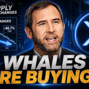 TOP 3 ALTS BEYOND XRP - SELL PRESSURE NOT IMPACTING THE XRP PRICE! - XRP WHALES EXITING EXCHANGES!