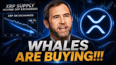 TOP 3 ALTS BEYOND XRP - SELL PRESSURE NOT IMPACTING THE XRP PRICE! - XRP WHALES EXITING EXCHANGES!