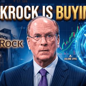 BLACKROCK IS BUYING XRP OR ARE THEY? - ANTI-CRYPTO DOESN'T WIN VOTES - CYBER ATTACK & ENERGY USAGE!