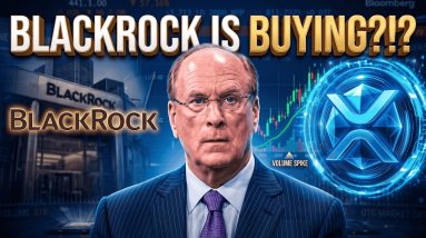 BLACKROCK IS BUYING XRP OR ARE THEY? - ANTI-CRYPTO DOESN'T WIN VOTES - CYBER ATTACK & ENERGY USAGE!