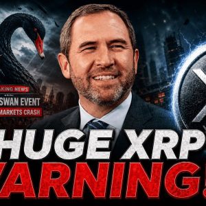 BLACK SWAN THEN RISE OF XRP! - XRP KEEPS LEAVING EXCHANGES? - TOKENIZATION BOOM WILL SKYROCKET XRP!