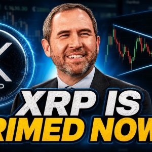 XRP PRIMED FOR A RUN UP THIS WEEK? - TRADING XLM FOR XRP CONTINUES! - DTCC FACTS VS TRIBALISM!