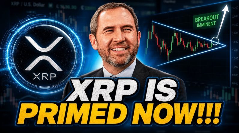 XRP PRIMED FOR A RUN UP THIS WEEK? - TRADING XLM FOR XRP CONTINUES! - DTCC FACTS VS TRIBALISM!