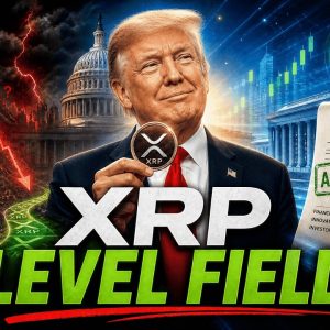 EVERY XRP BUYER STARTS SOMEWHERE! - REGULATIONS WILL SKYROCKET XRP! - LEVEL PLAYING FIELD FOR XRP