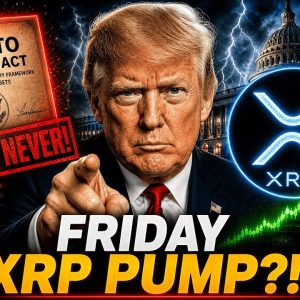 XRP MAY PUMP INTO THIS FRIDAY EVENT! - WHY CLARITY HAS TO HAPPEN NOW! - MATT DAMON AN XRP INVESTOR?