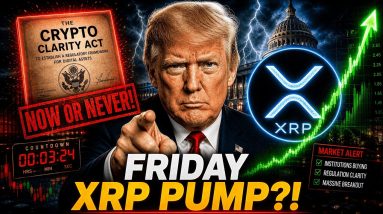 XRP MAY PUMP INTO THIS FRIDAY EVENT! - WHY CLARITY HAS TO HAPPEN NOW! - MATT DAMON AN XRP INVESTOR?